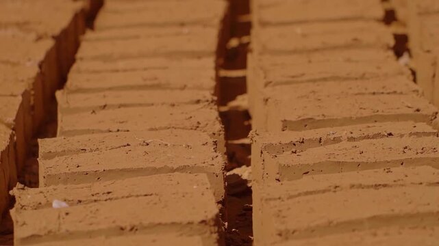 Adobe bricks drying under sunlight, revealing traditional construction methods in Chapada dos Veadeiros, Brazil, highlighting regional architectural sustainability and cultural preservation