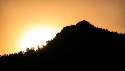Fototapeta premium Dark, jagged silhouette of a dense forest against a bright sky, light, evening