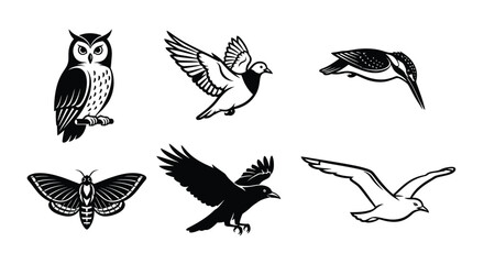 A collection of six black and white graphic illustrations of various birds and a moth on a white background.