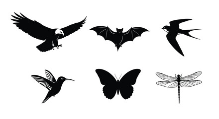 Silhouette image of various flying animals including an eagle, bat, swallow, hummingbird, butterfly, and dragonfly.