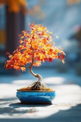 Autumn Bonsai Tree In Blue Pot