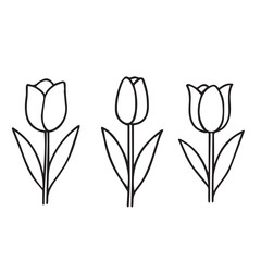 Collection of vibrant floral illustrations with diverse color palettes