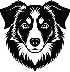 Fototapeta premium Vector art of a striking black and white vector illustration of a border collie dogs face, featuring its distinctive markings and alert expression, isolated on a