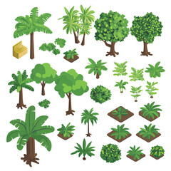 Isometric tropical jungle vegetation set with various palm trees, broadleaf plants, ferns, shrubs and wooden crate flat vector illustration collection