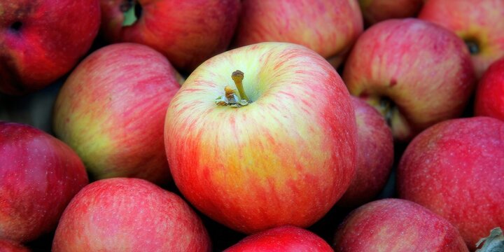 Vibrant close-up of ripe red apples, showcasing freshness and natural beauty.