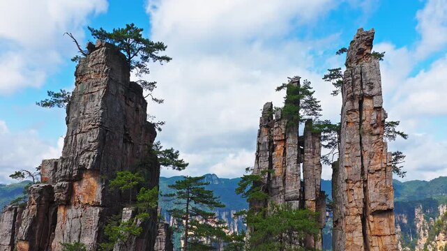 Majestic Zhangjiajie national forest park: towering sandstone pillars with green pine trees natural landscape, Wulingyuan Scenic Area, Hunan Province, China.