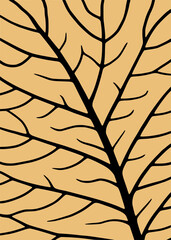 Abstract Vector Illustration of Intricate Leaf Vein Pattern on a Solid Beige Background, a Minimalist and Graphic Organic Texture