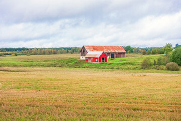 Rural landscape view with red barns by a field in autumn