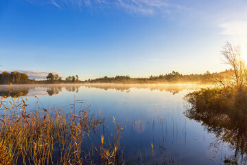Scenic view at a forest lake with water reflections a beautiful autumn morning