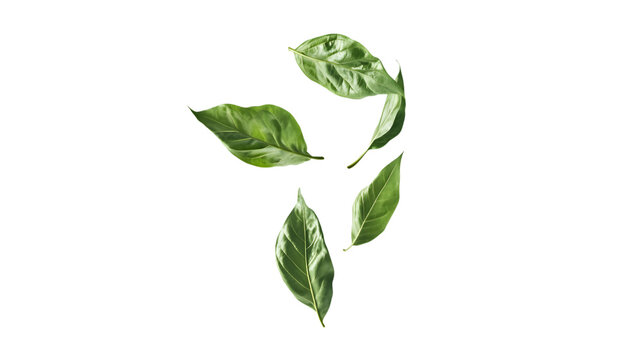 Vibrant green leaves gently falling, Isolated on white background - Powered by Adobe