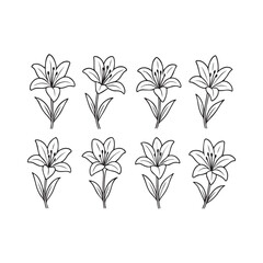 Vibrant floral arrangement with colorful blossoms and leaves