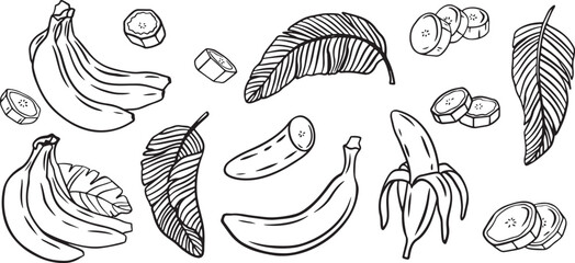 Banana doodle sketch, tropical fruit doodle set, hand drawn fruit icons, cartoon banana vector, fruit illustration doodle, doodle healthy food, exotic fruit doodles, doodle fruit pack, doodle banana c
