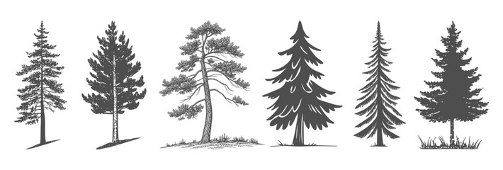 set of trees sillhouette on transparent background