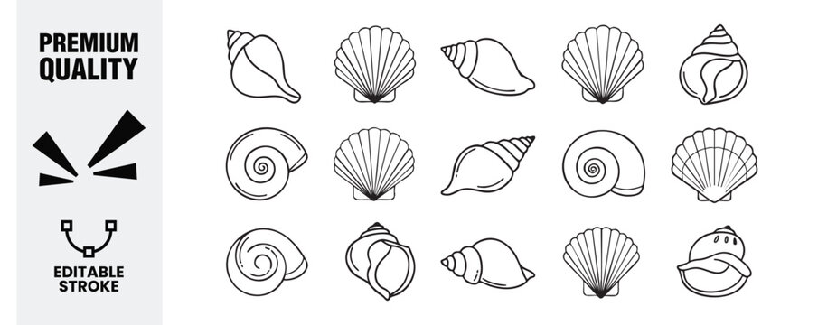 Seashell icon set a collection of editable stroke vector illustrations featuring various sea shells, each with unique shapes and textures, perfect for coastal designs