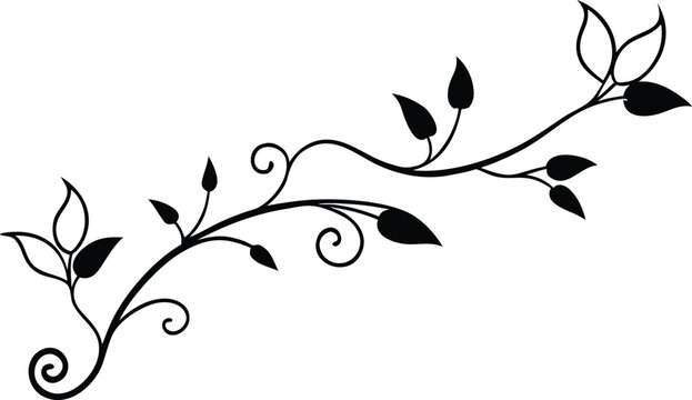 elegant leafy vine line art clean silhouette vector