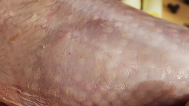 Turkey drumstick texture. Chicken skin texture close up. High quality 4k footage