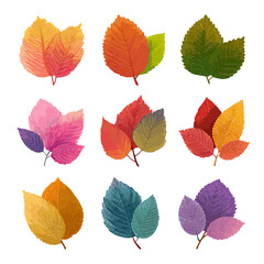 Obraz premium Vibrant Autumn Leaves in Colorful Arrangements Celebrating Nature's Beauty