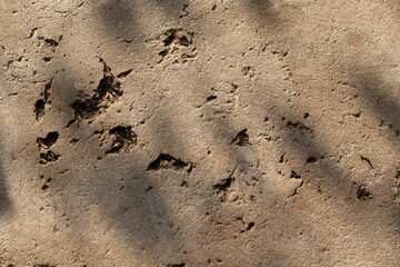 A texture background of a rough, old concrete or cement surface with sunlight and shadows.