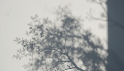 Abstract black and white landscape of a winter forest with frozen branches against a snowy sky