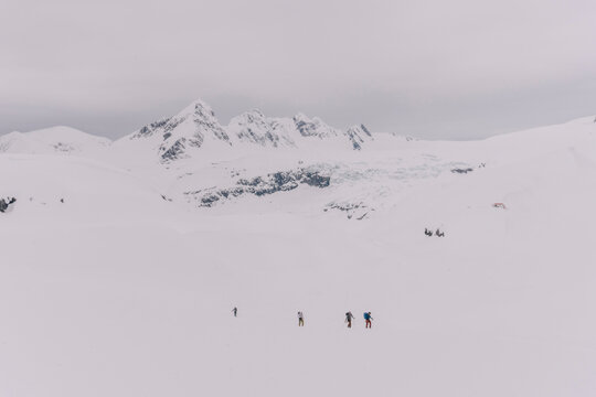 A line of skiers skin up a hill in the backcountry.