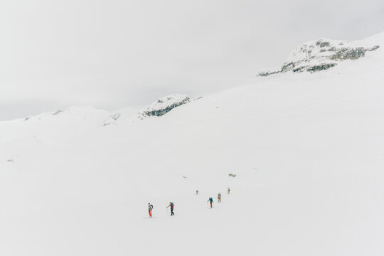 A line of skiers skin up a hill in the backcountry.