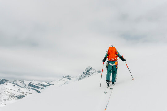 A ski guide skins up a mountain in the backcoutn