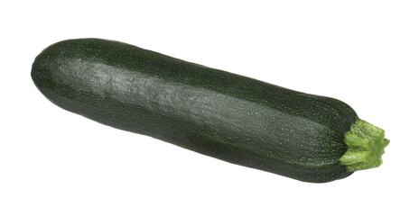 One fresh ripe zucchini isolated on white