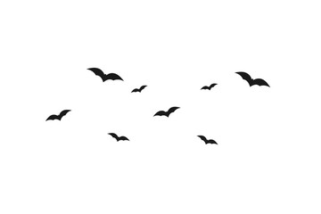 Black silhouettes of flying birds in various sizes scattered across white background, isolated on a transparent background