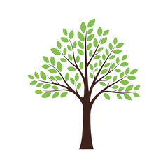 Obraz premium tree with green leaves. natural large plant image. transparent png and vector illustration.