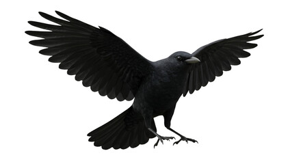 Obraz premium PNG Majestic crow soars with wings outstretched, a symbol of mystery and intelligence, perfect for fantasy art, Halloween themes, or gothic designs isolated on white background