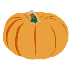 Autumn illustration of farming pumpkin festival in flat style on transparent background