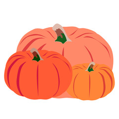 Autumn illustration of farming pumpkin festival in flat style on transparent background