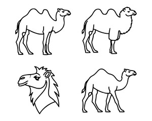Four black and white camel icons are displayed, each with a unique design. The top left and bottom right