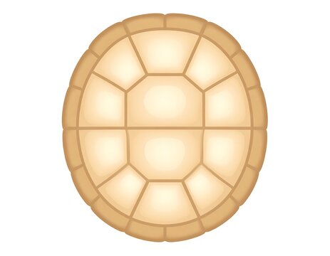Turtle shell, top view, cartoon style