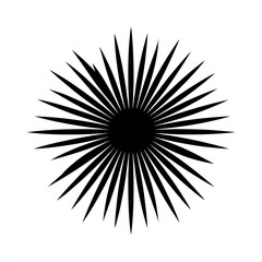 Obraz premium Black radial lines forming a circular shape