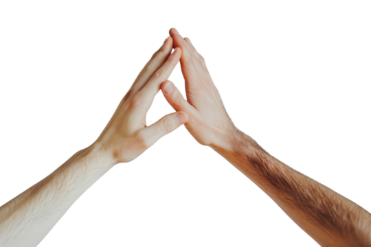 PNG Creative people hands high five togetherness gesturing touching.