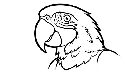 Obraz premium Parrot profile line art