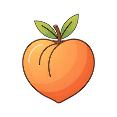 orange fruit vector illustration
