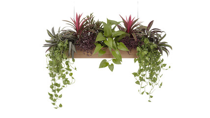 Hanging planter box with various plants isolated on transparent background, perfect for indoor gardening and decoration