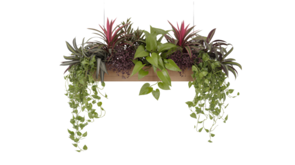 Hanging planter box with various plants isolated on transparent background, perfect for indoor gardening and decoration