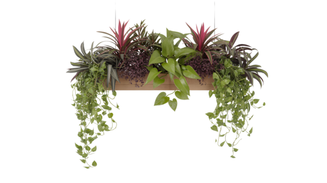 Hanging planter box with various plants isolated on transparent background, perfect for indoor gardening and decoration