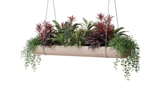 Hanging planter with various plants isolated on transparent background, a decorative element for interior design