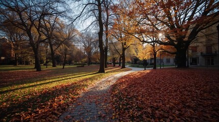 A Wide, Spacious Avenue Runs Through a City Park During the Peak of Autumn, with Colorful Trees Lining the Path and Leaves Scattered on the Ground