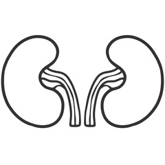 black outline kidney illustration
