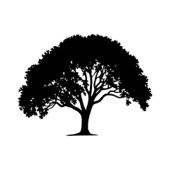 Fototapeta premium Majestic silhouette of a mature tree with a full leafy canopy symbolizing nature and growth