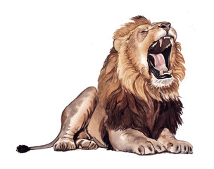 Hand-painted watercolor illustration of a roaring lion with detailed mane and realistic shading.