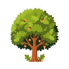 vector illustration oak tree with transparant background