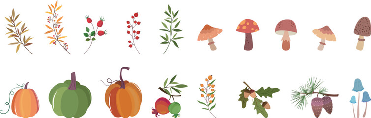 Halloween autumn harvest nature design elements vector file, featuring seasonal icons and decorations for festive and creative projects.