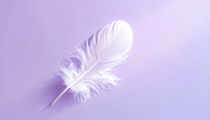 Obraz premium Feather on Pastel Lavender Minimalist Background