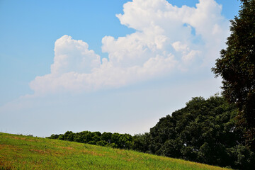 夏の青空と広い草原風景
